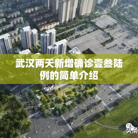 武汉两天新增确诊壹叁陆例的简单介绍 武汉两天新增确诊壹叁陆例的简单介绍