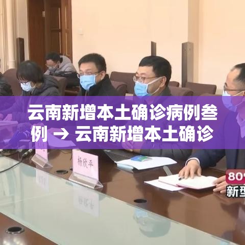 云南新增本土确诊病例叁例 → 云南新增本土确诊病例叁例详情