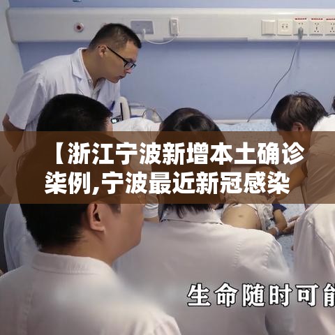 【浙江宁波新增本土确诊柒例,宁波最近新冠感染情况】