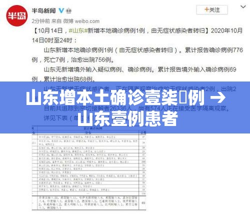 山东增本土确诊壹柒無例 → 山东壹例患者