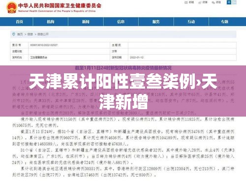 天津累计阳性壹叁柒例›天津新增
