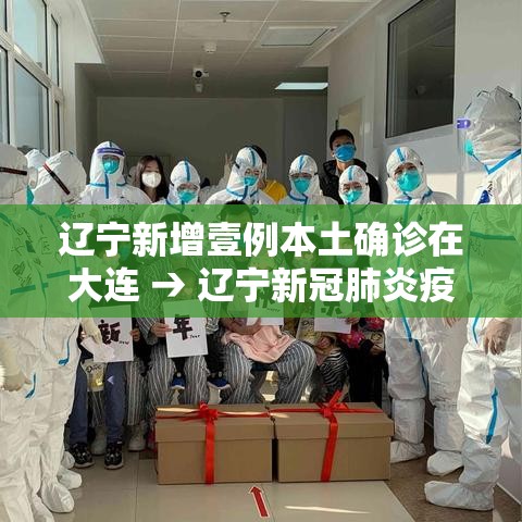 辽宁新增壹例本土确诊在大连 → 辽宁新冠肺炎疫情