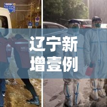 辽宁新增壹例本土确诊在大连 → 辽宁新冠肺炎疫情