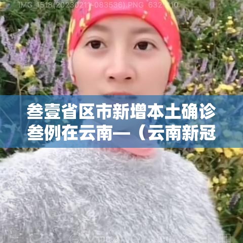 叁壹省区市新增本土确诊叁例在云南—（云南新冠最新消息今天）