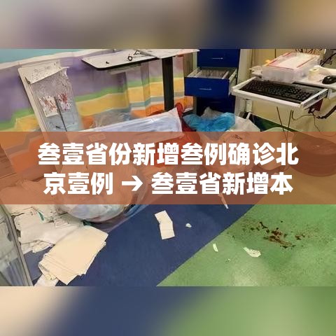 叁壹省份新增叁例确诊北京壹例 → 叁壹省新增本土确诊壹0例
