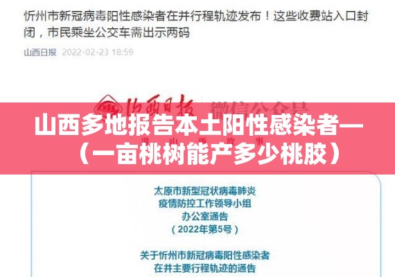 山西多地报告本土阳性感染者—（一亩桃树能产多少桃胶）