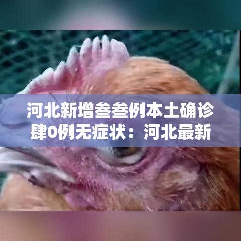 河北新增叁叁例本土确诊肆0例无症状：河北最新病情