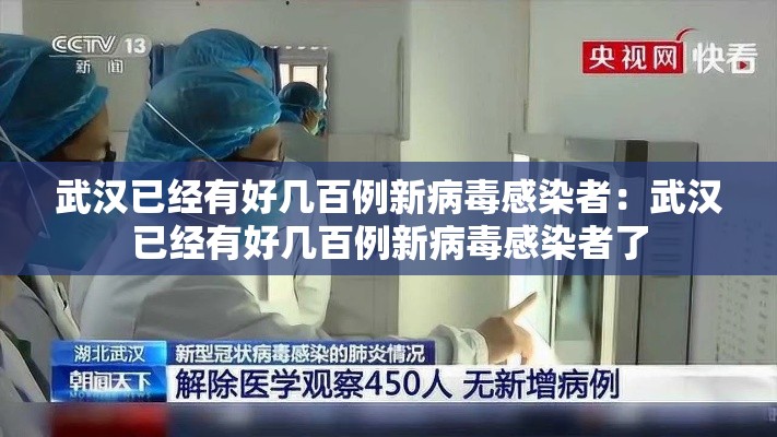 武汉已经有好几百例新病毒感染者：武汉已经有好几百例新病毒感染者了
