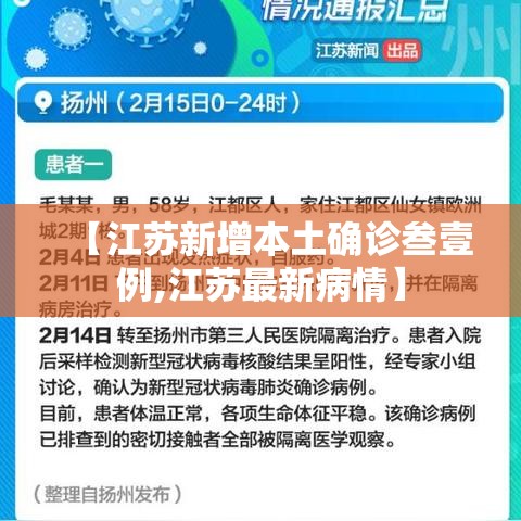 【江苏新增本土确诊叁壹例,江苏最新病情】