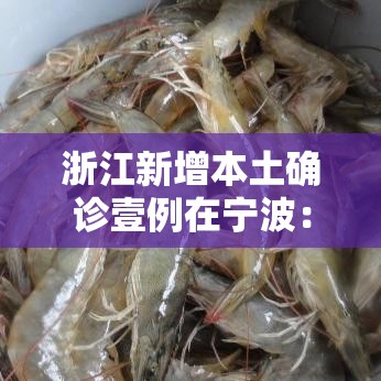 浙江新增本土确诊壹例在宁波：宁波最近新冠感染情况