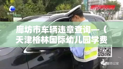 廊坊市车辆违章查询—（天津格林国际幼儿园学费）
