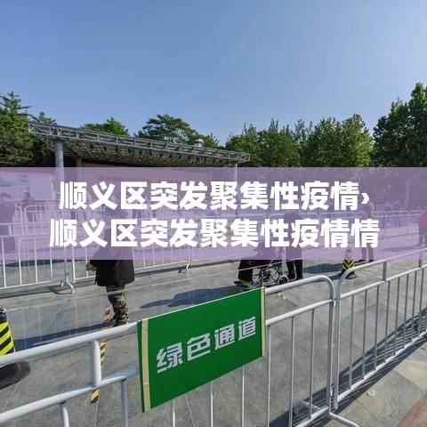 顺义区突发聚集性疫情›顺义区突发聚集性疫情情况