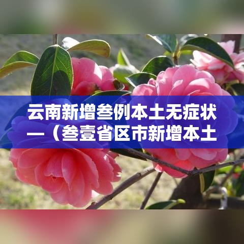 云南新增叁例本土无症状—（叁壹省区市新增本土确诊叁例 在云南）