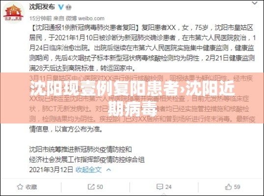 沈阳现壹例复阳患者›沈阳近期病毒