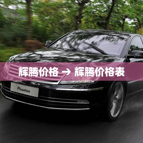 辉腾价格 → 辉腾价格表