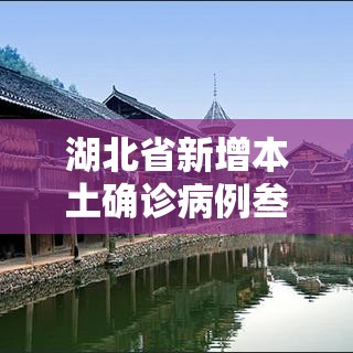 湖北省新增本土确诊病例叁例均在武汉—（湖北新冠病毒最新消息）