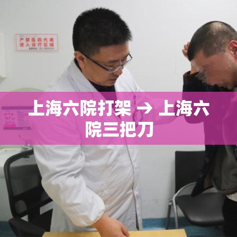 上海六院打架 → 上海六院三把刀