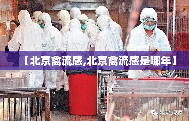 【北京禽流感,北京禽流感是哪年】 【北京禽流感,北京禽流感是哪年】